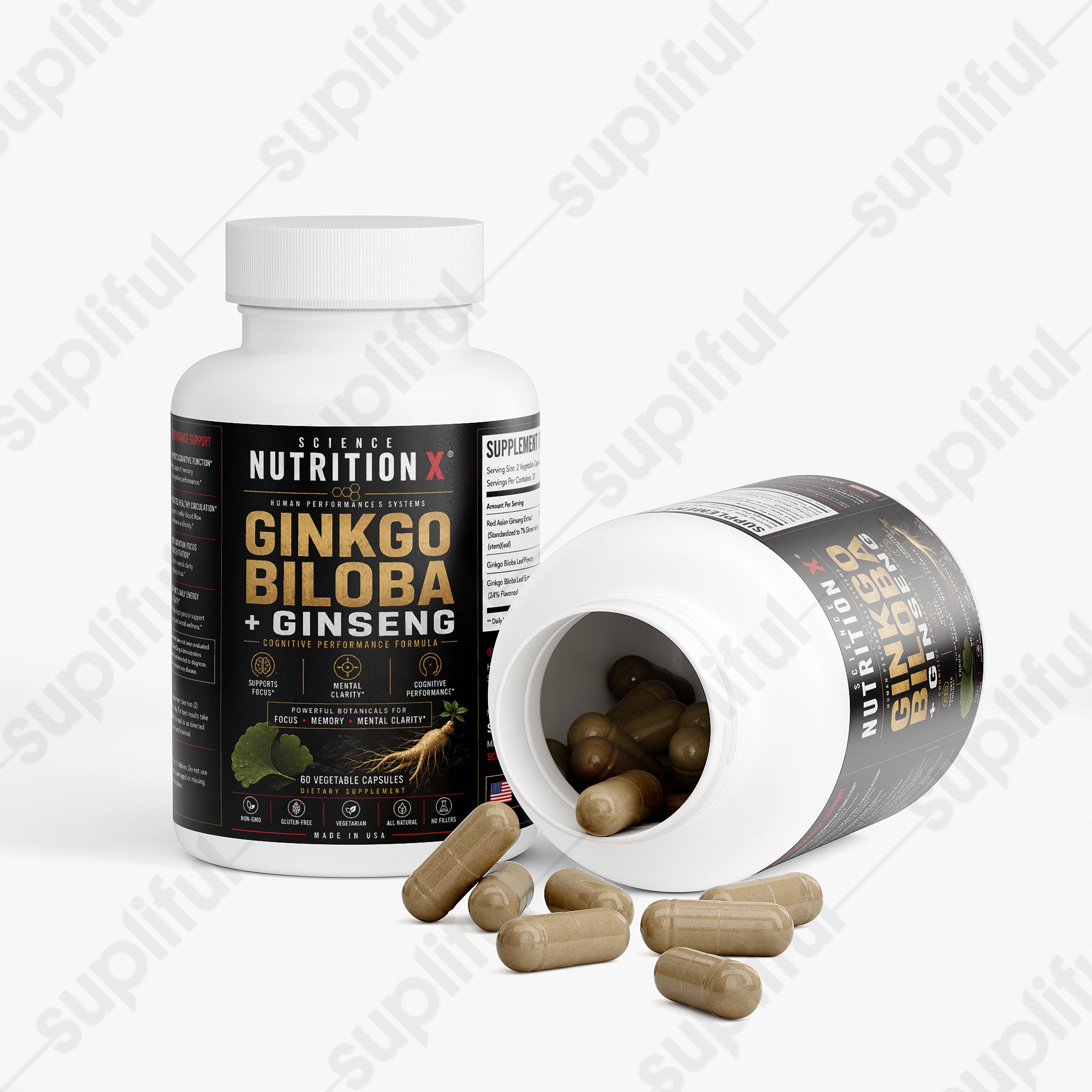 Ginkgo Biloba + Ginseng
